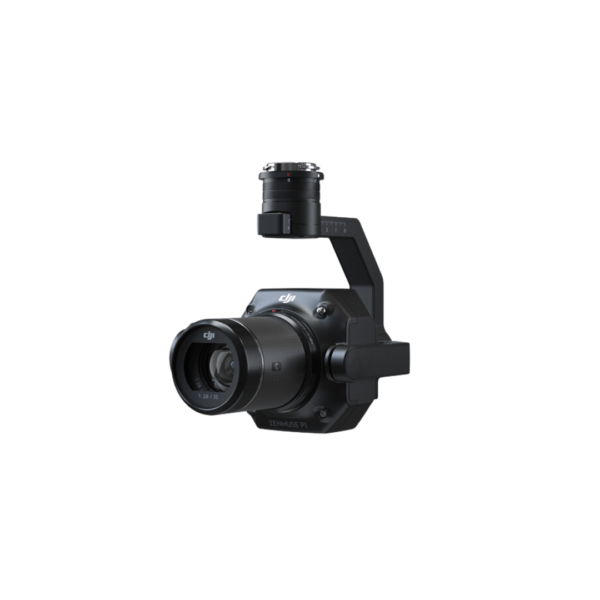 ZENMUSE P1